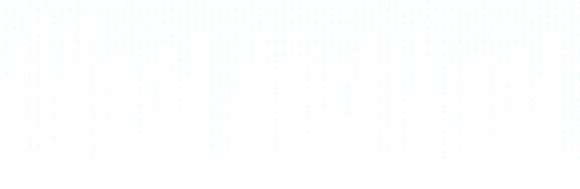 {Full Stack}Web Developer